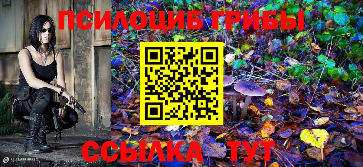 Псилоцибиновые грибы MAGIC MUSHROOMS  Чернушка 