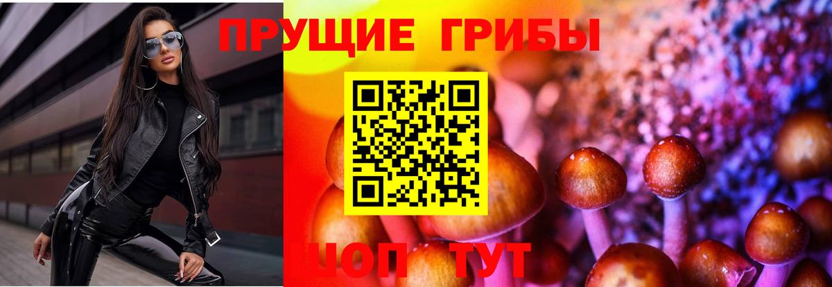 Псилоцибиновые грибы мухоморы  Псилоцибиновые грибы мицелий  Вход с VPN  Чернушка 